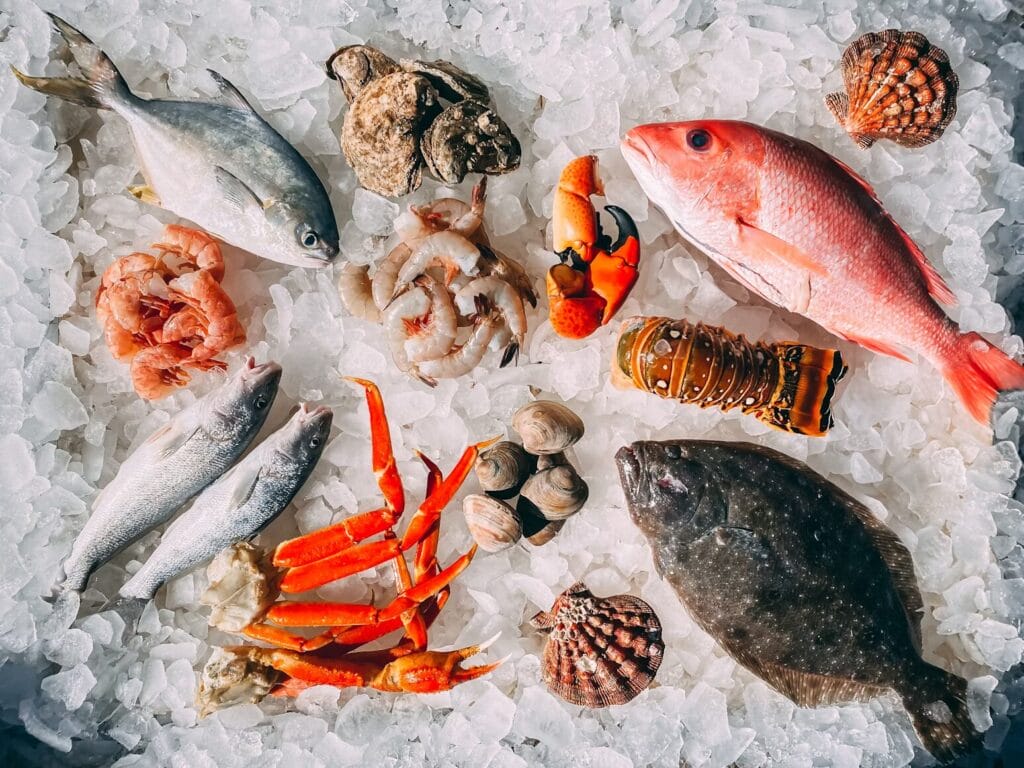 freshly caught sustainable seafood